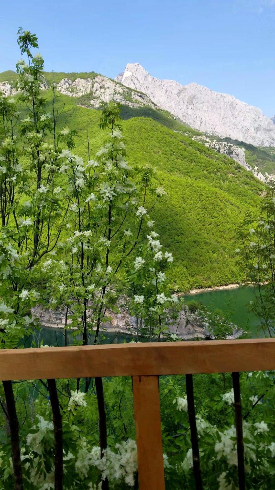 Twin Villas Komani Lake Exteriér fotografie